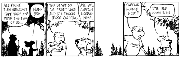Bark080507
