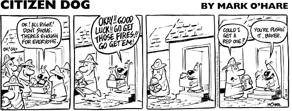 citizendog