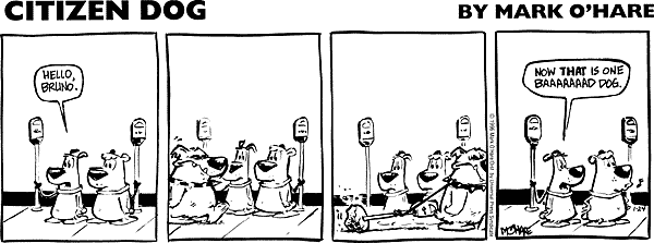 citizendog