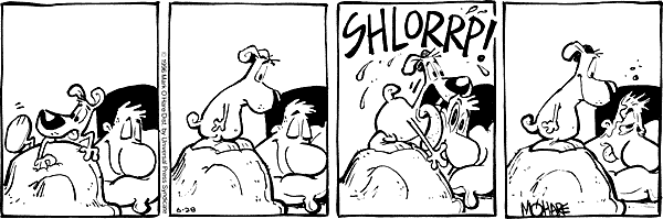 citizendog