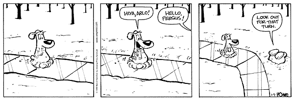 citizendog