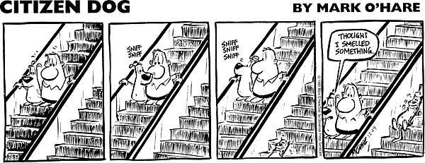 citizendog