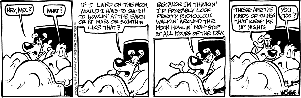 citizendog