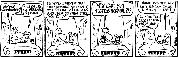 citizendog
