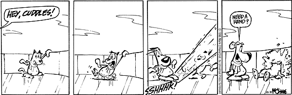 citizendog
