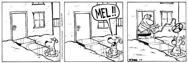 citizendog