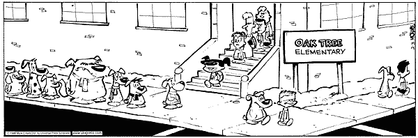 citizendog