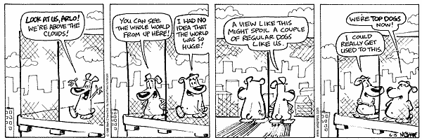 citizendog