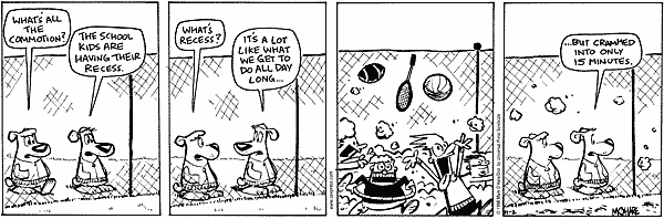 citizendog