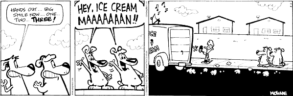 citizendog