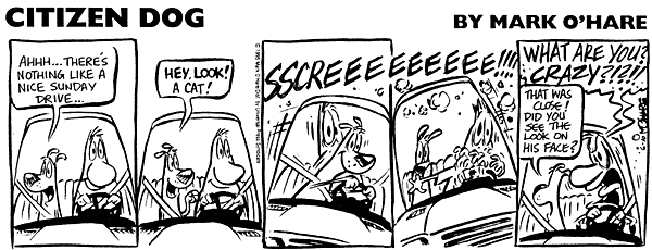 citizendog