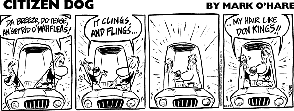 citizendog