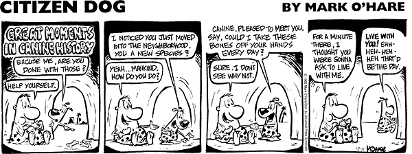 citizendog