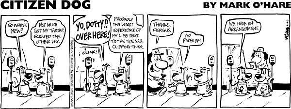 citizendog