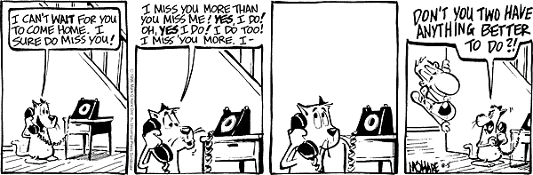 citizendog