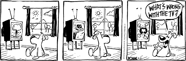 citizendog