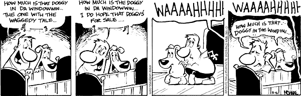 citizendog