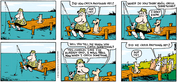 citizendog