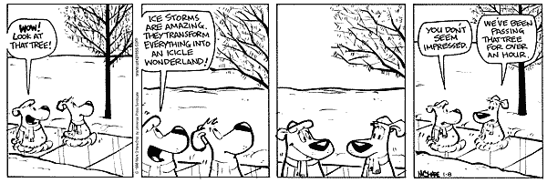 citizendog