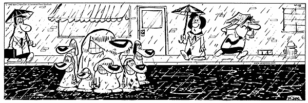 citizendog