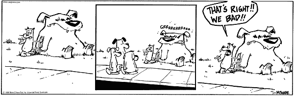 citizendog