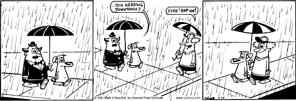 citizendog