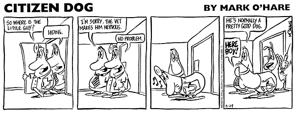 citizendog