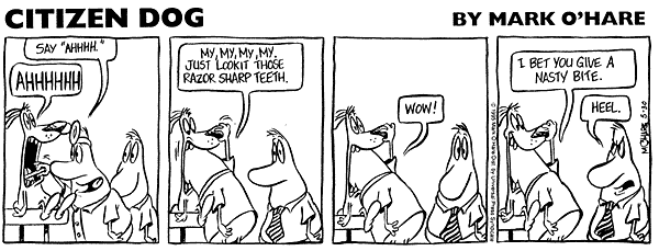 citizendog
