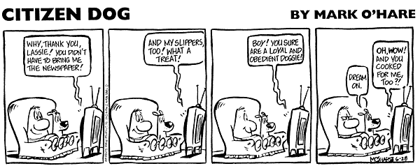 citizendog