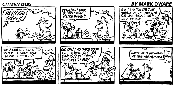 citizendog