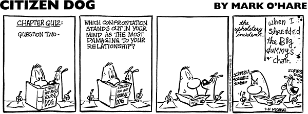 citizendog