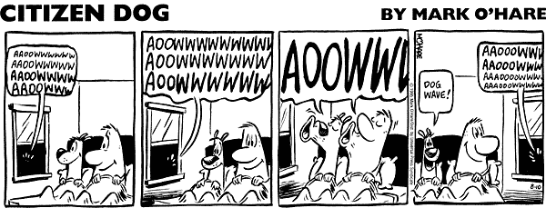 citizendog