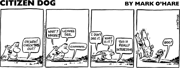 citizendog