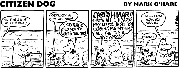 citizendog