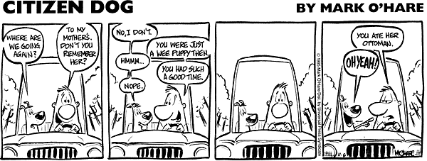 citizendog