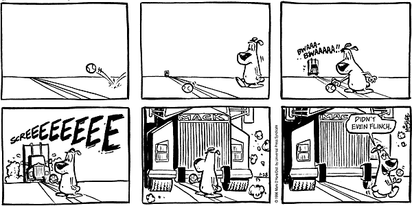 citizendog