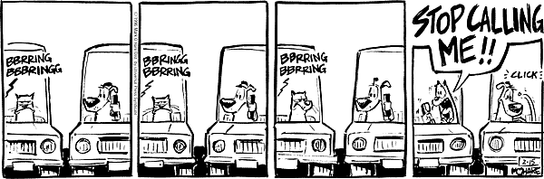 citizendog