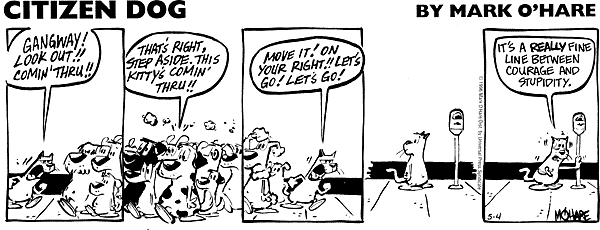 citizendog