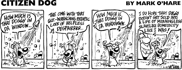 citizendog