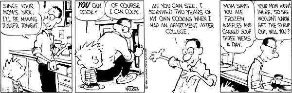 calvinandhobbes