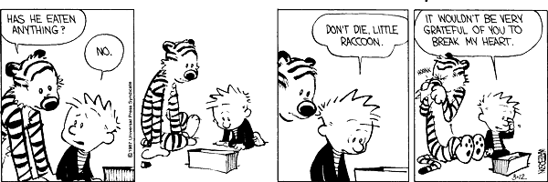 calvinandhobbes