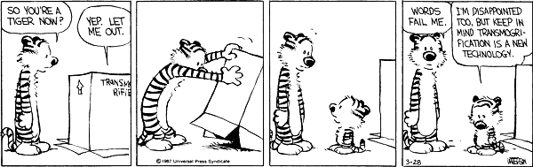 calvinandhobbes