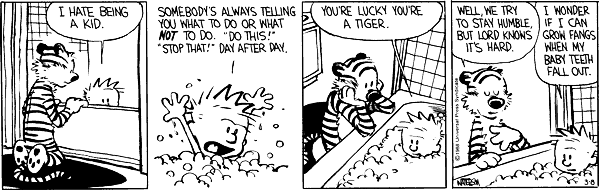 calvinandhobbes