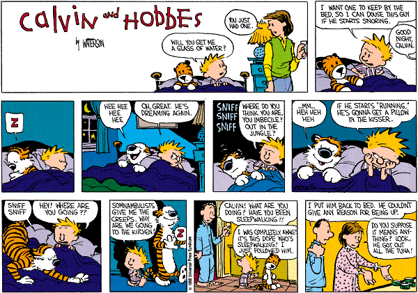 calvinandhobbes
