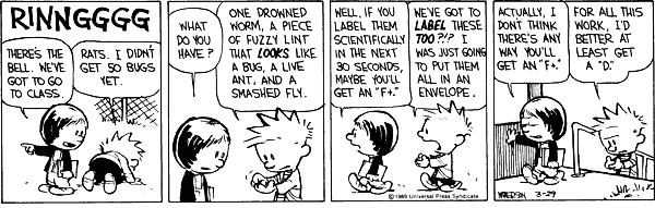 calvinandhobbes