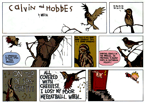 calvinandhobbes