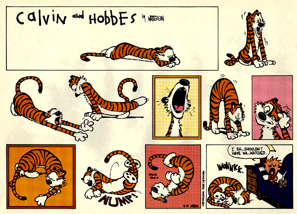 calvinandhobbes