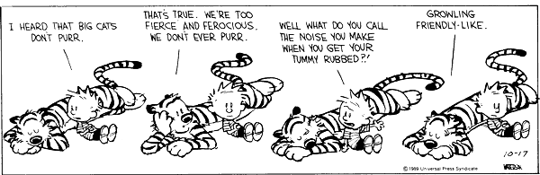 calvinandhobbes