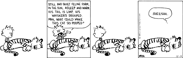 calvinandhobbes