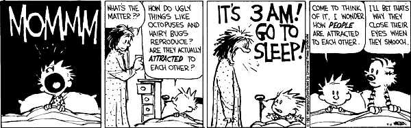 calvinandhobbes